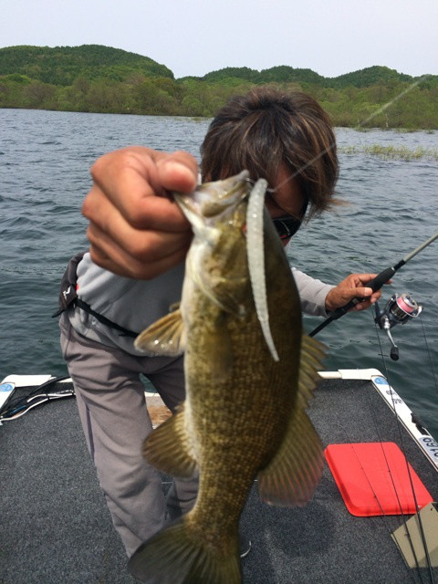 {C876062A-446E-4635-A575-043B2882A5AE:01}