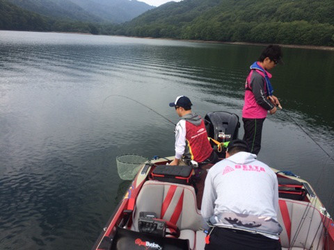 {3081DBD4-E165-4014-962A-6E86439D34B1:01}