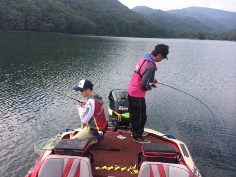 {0494A243-9D88-462A-B248-CBFADC2C73B3:01}