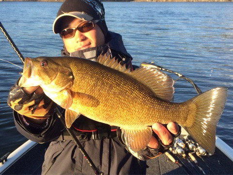 {8FE957A4-4E29-4E44-B072-F3C6C1C89767:01}