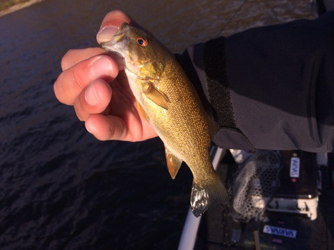 {8831C949-7405-431E-AF3B-80FFF81953A2:01}