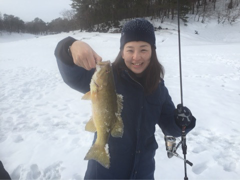 {D5050AE6-3CDF-4749-9AEB-FF1967D11701:01}