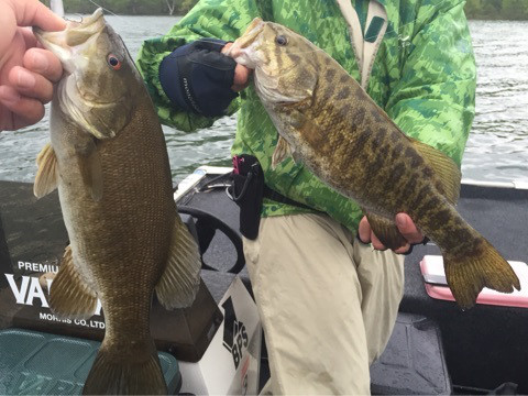 {0990157D-4056-4B6B-AD2A-BFCC5F8CCA92:01}