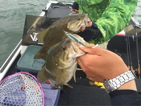 {F81F9D01-946A-4732-BF17-69ABD04B4BEF:01}