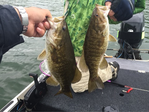 {E74A2DB4-1AB1-4270-B611-04AFE08BCEAE:01}