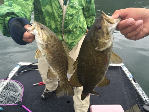 {071E9C86-3739-4722-8915-66BD35AD278C:01}