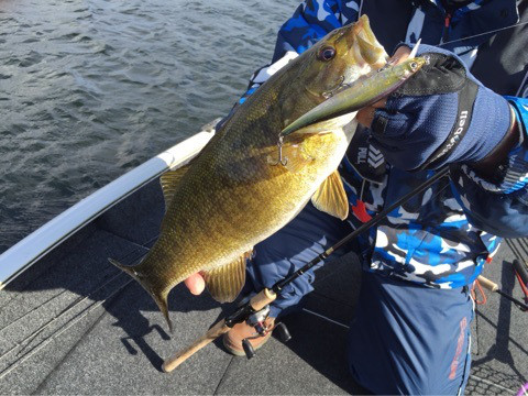 {8A05E506-DCBF-418E-A82C-AA6A5565AF3D:01}