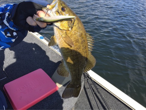 {B3D822E7-C2A3-47EC-AC3F-3A8CAE2252F8:01}