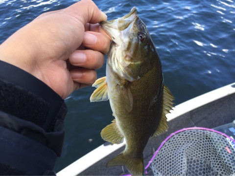 {28AEC6DC-A008-4915-B44F-B1C5C9334B9F:01}