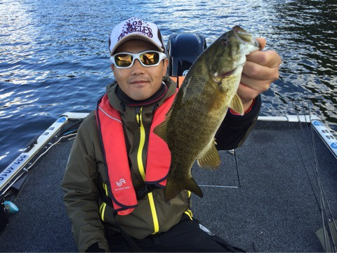 {D354A74A-3A38-4CFE-A4A7-BF40116DB872:01}