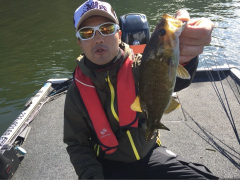 {A9D95CA0-7306-480E-8F74-23CD57137CBE:01}