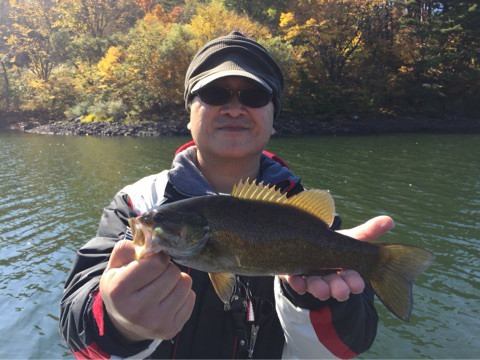 {586DF983-1690-4A5D-A246-4ABC2E4B7654:01}