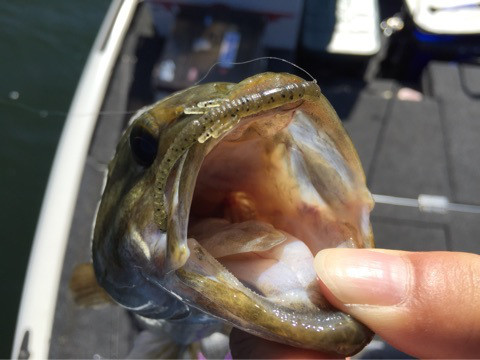 {90CA18D6-3E84-4A4E-9568-45CCD862F03B:01}