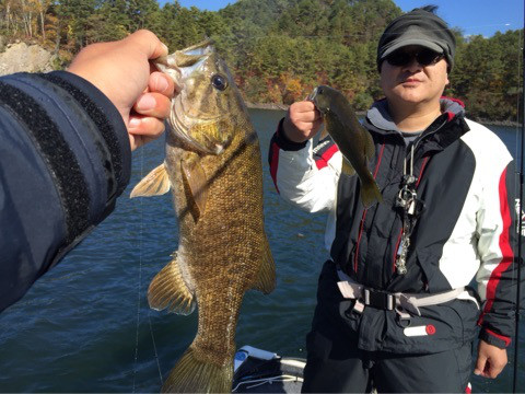 {D7E8CB3B-14E1-4DB4-BCED-1228FB528FB2:01}