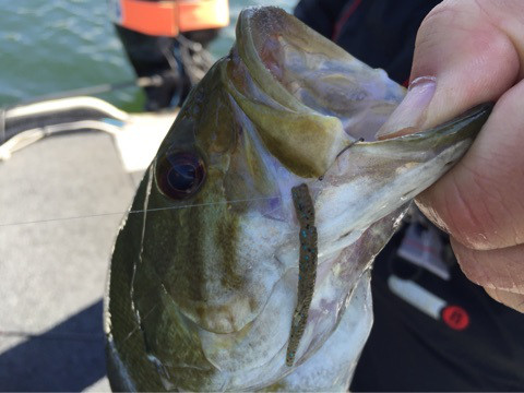 {4B3BBEEF-B663-4EBD-A798-463A4038A9B0:01}