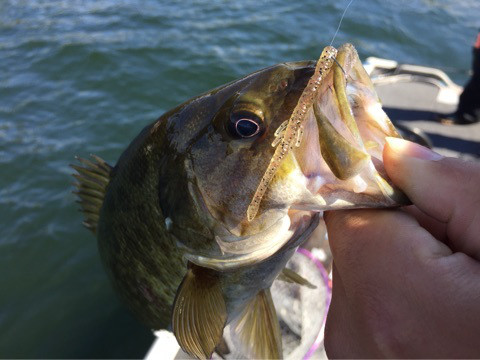 {1A237EF3-49C3-46E9-9FB3-8AD1F6466248:01}