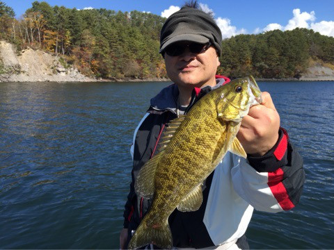 {92DB5242-6F37-41CB-9DAD-2F45473DC1D4:01}