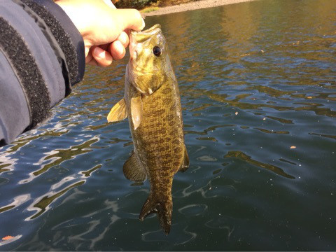 {D0DA4F9A-33EB-441C-A754-85510E497119:01}