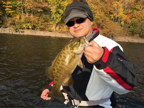 {F2AC129E-087C-4D13-8216-A7BA9A4B97AC:01}