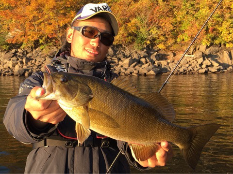 {5B447988-2AFA-4556-BF80-93F90BBBF92E:01}