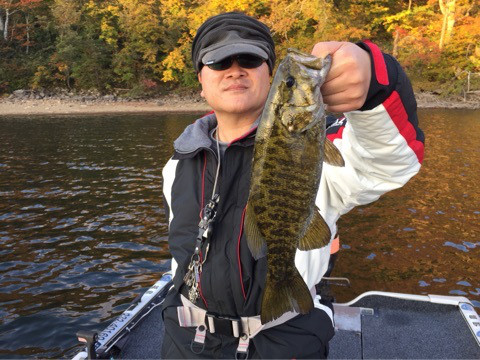 {74C6029E-8F6F-4B41-9116-A1EB8C2579C5:01}