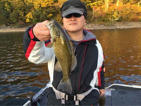 {F0C0C27F-D793-4DDE-8C84-D9170BB7D3C4:01}