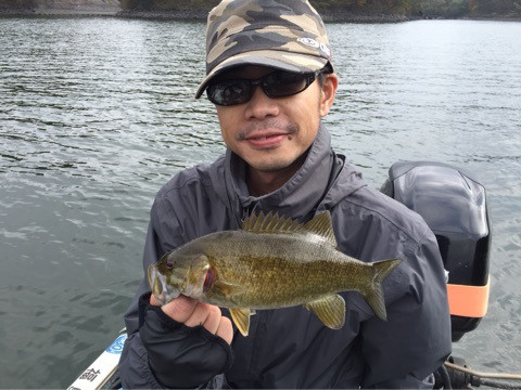 {BF92DAA2-BCAE-499D-8B17-0AE708B550EC:01}