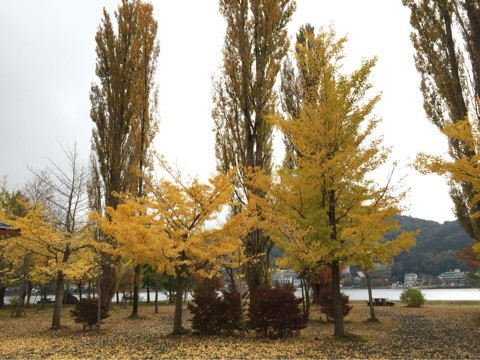 {2009B62E-FE5F-44F6-A24B-342F2E520FBB:01}