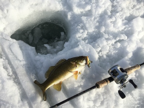 {82BE8418-6BF0-4B99-B629-80FB0B336026:01}