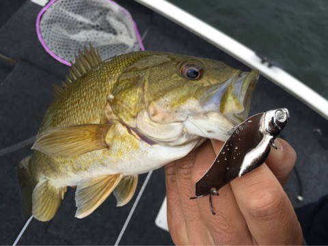 {D454B86B-AA28-4CC5-AC53-27E79A7B760C:01}