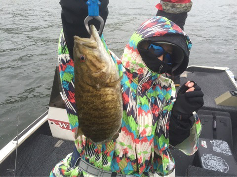 {E011D5A5-6EED-48CE-953F-416CC84C0B67}