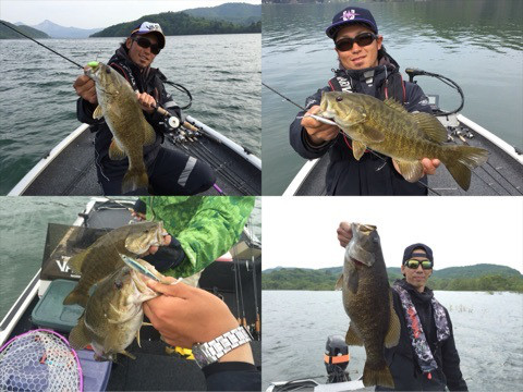 {538AB7AD-230C-49B3-B666-128F2B828852:01}