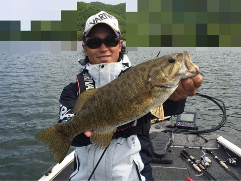 {08FA2E56-9D08-4790-A486-9635D25C0394}