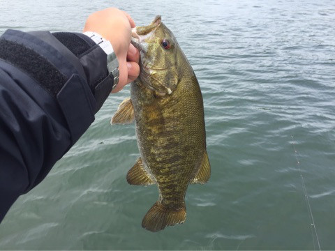 {9E1651B4-A4D9-4D38-8310-67E229D509A7}