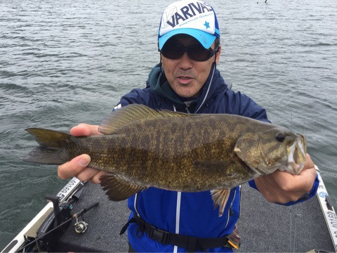 {B9AF7CE8-2A84-42D7-96FC-EE9BF50C4B34}