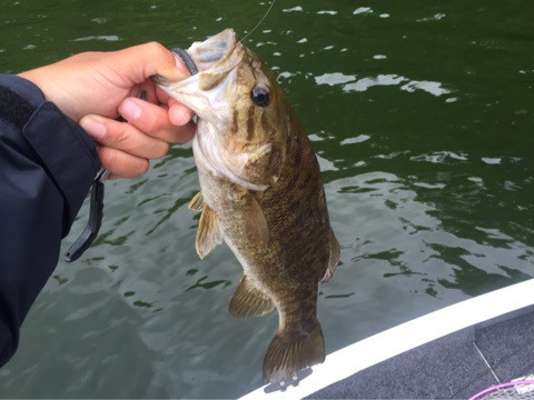 {ED610C44-988C-4D58-ADD5-8A3C6AC59CE5}