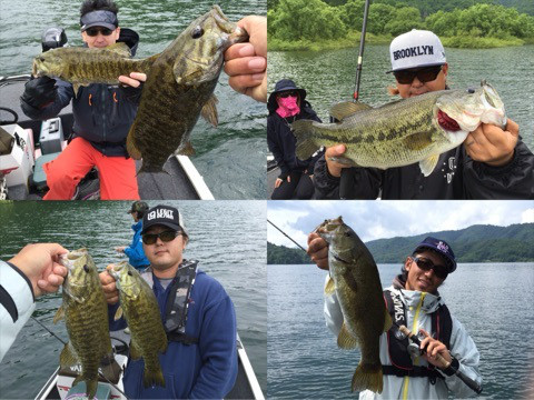 {F031324A-15D9-4C90-B703-2E38F86D77B6:01}