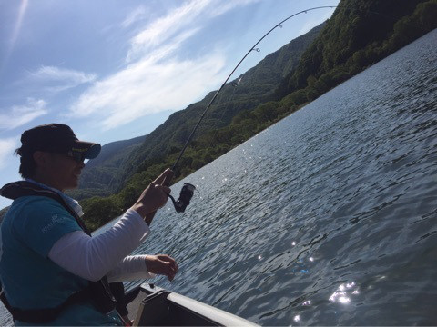 {81C88BFE-53F5-4E0B-859C-1572DC7AFE9E}