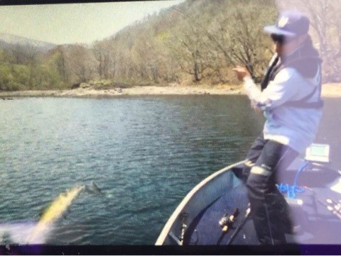 {D4C4E3E0-F30D-416F-B40B-7D2D0C4AF176}