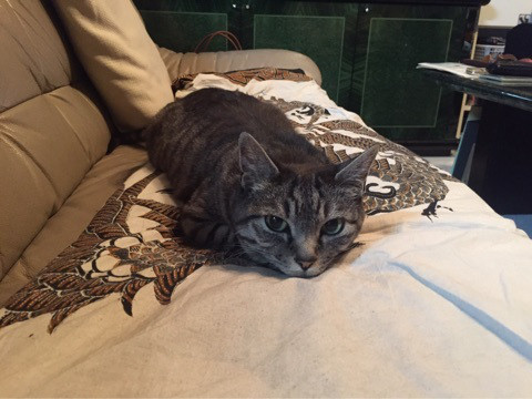 {8750B4F3-E78A-47D3-BFB4-5DA6DE9D7D0C}