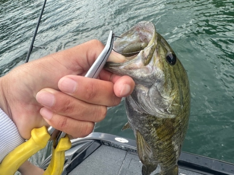 初めてのバス釣り。6月19日桧原湖。 高梨ガイドサービス 桧原湖・小野